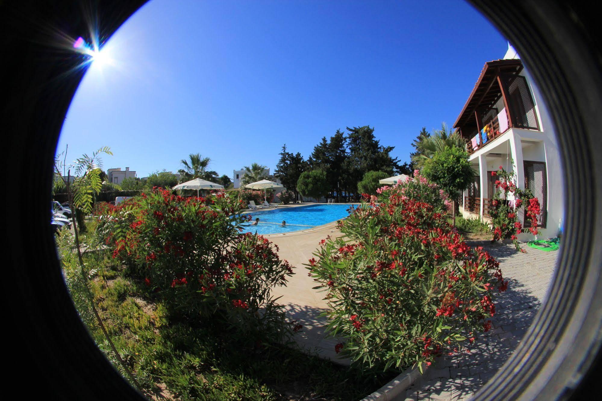 גולטורקבוקו Selvi Beach Hotel מראה חיצוני תמונה