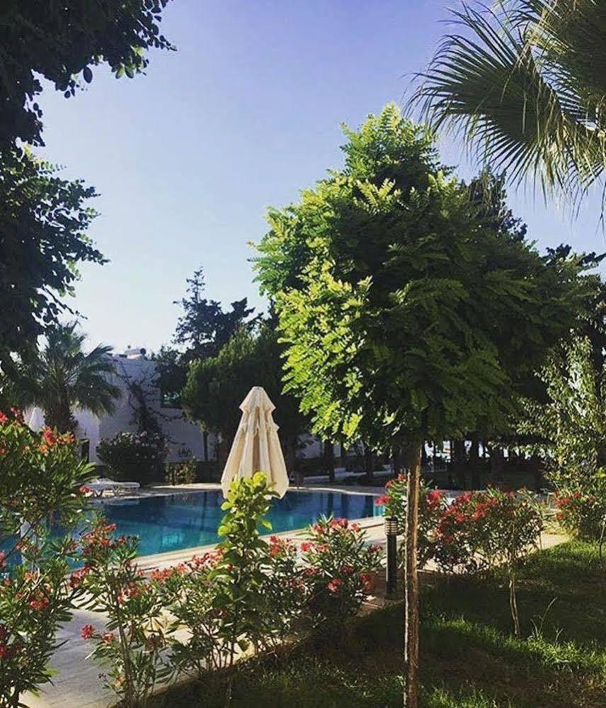גולטורקבוקו Selvi Beach Hotel מראה חיצוני תמונה