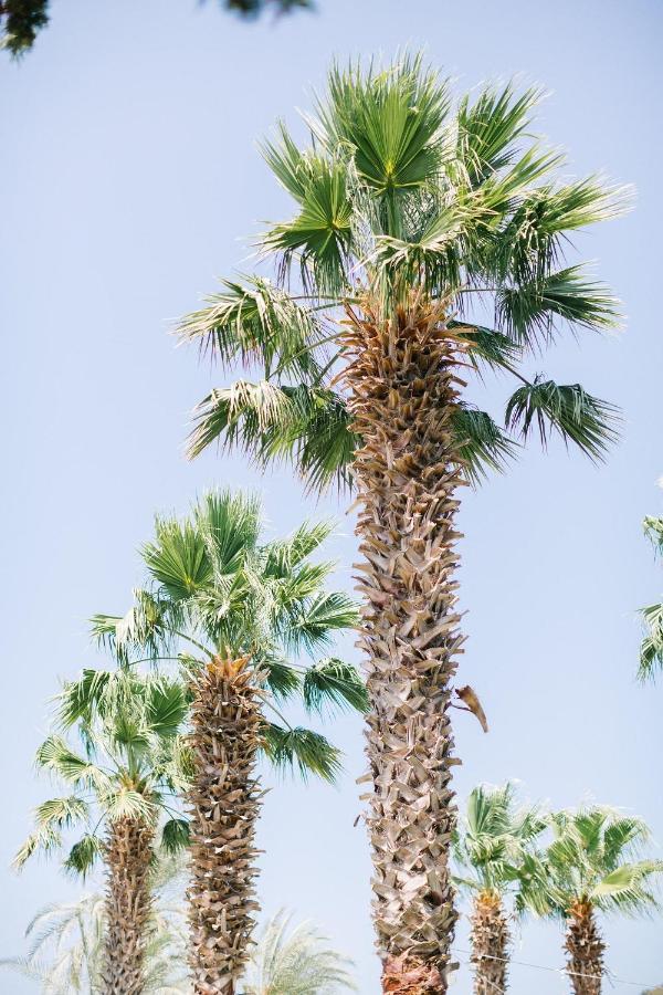 גולטורקבוקו Selvi Beach Hotel מראה חיצוני תמונה