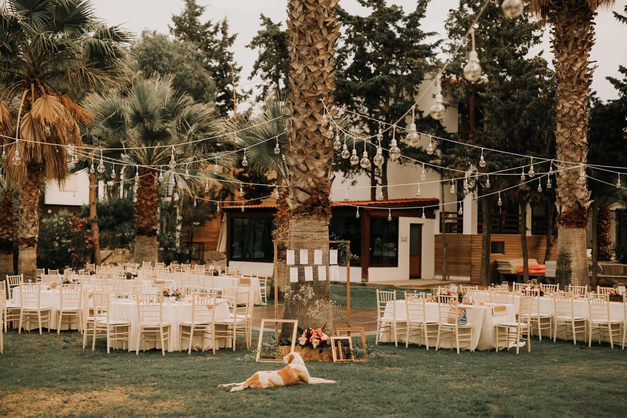 גולטורקבוקו Selvi Beach Hotel מראה חיצוני תמונה